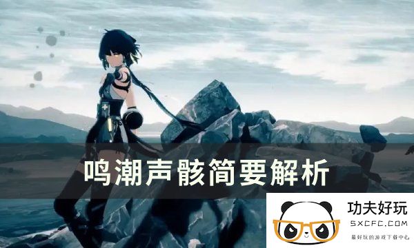 《鸣潮》声骸是什么​​​​​​​ 声骸简要解析